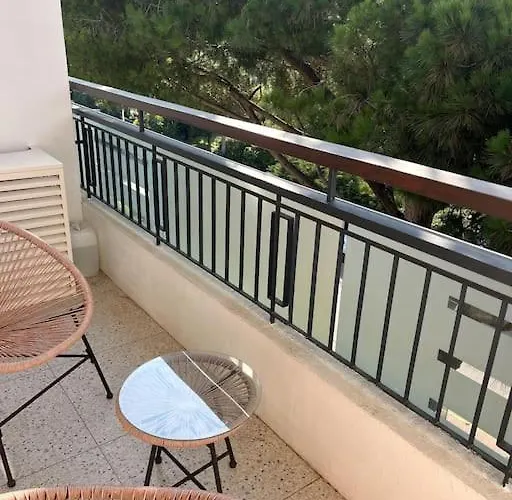 Calme Avec Vue Sur Un Grand Pin Parasol * Cannes