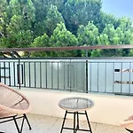 Calme Avec Vue Sur Un Grand Pin Parasol *
