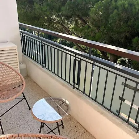 Calme Avec Vue Sur Un Grand Pin Parasol * 칸느